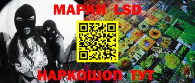 индика Сланцы