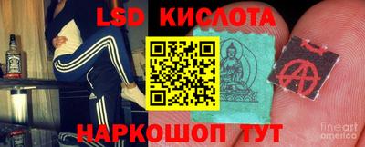 индика Сланцы