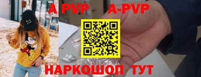 индика Сланцы