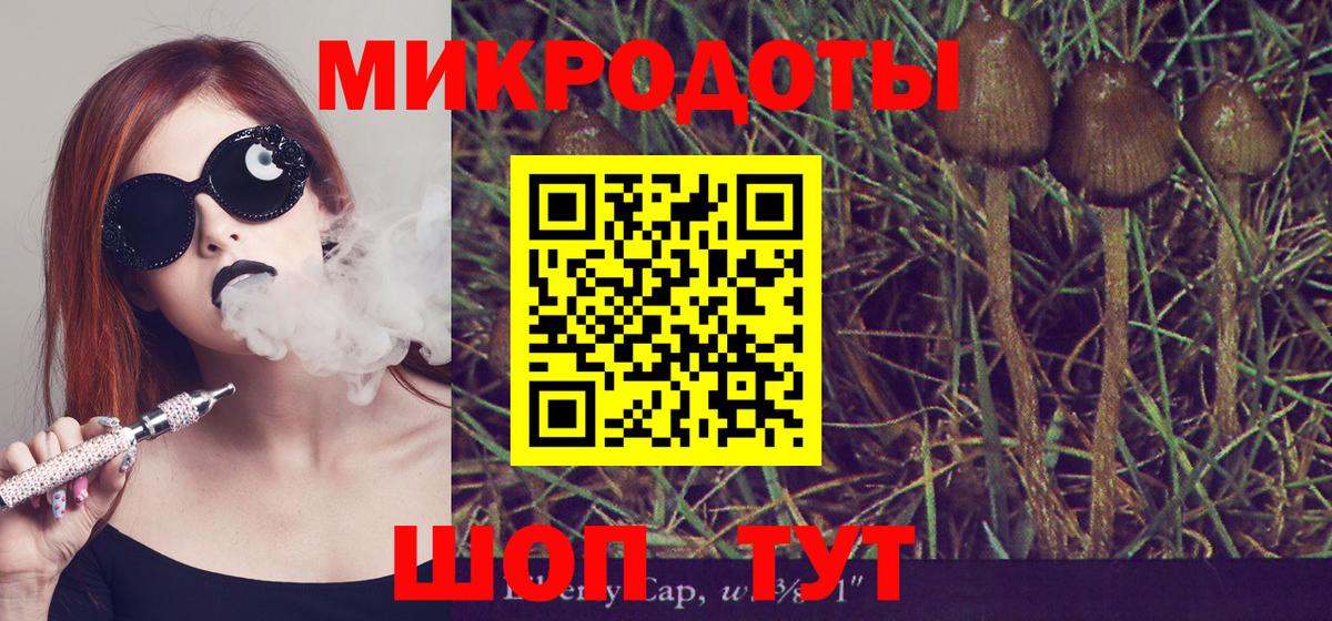 Мончегорск  Галлюциногенные грибы Psilocybe  купить закладку  Вход с VPN 