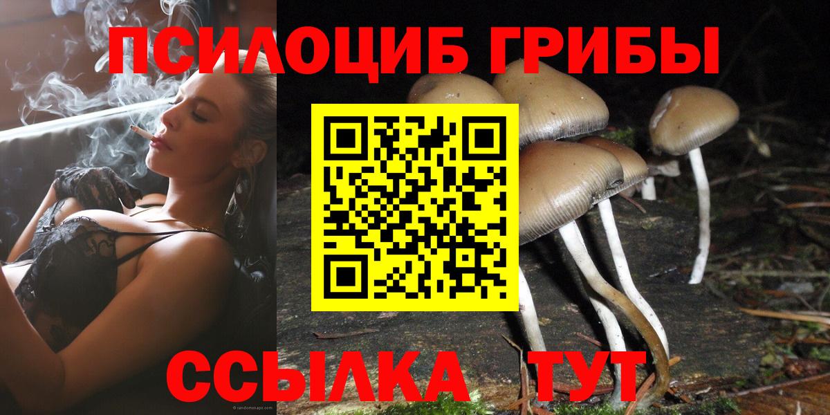 Галлюциногенные грибы прущие грибы Мончегорск